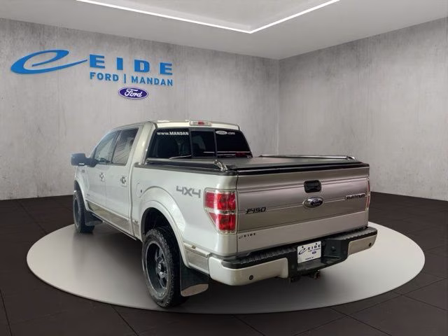 2013 Ingot Silver Ford F-150 Platinum 4X4 Truck