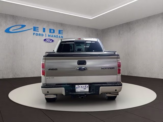 2013 Ingot Silver Ford F-150 Platinum 4X4 Truck