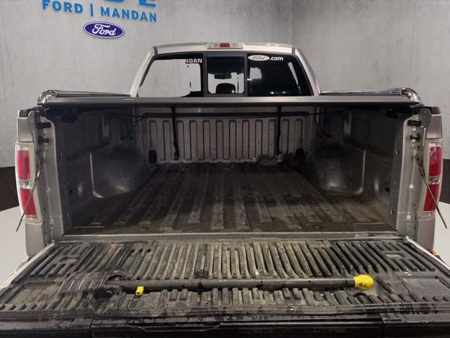 2013 Ingot Silver Ford F-150 Platinum 4X4 Truck