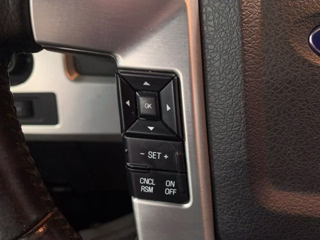 2013 Ingot Silver Ford F-150 Platinum 4X4 Truck