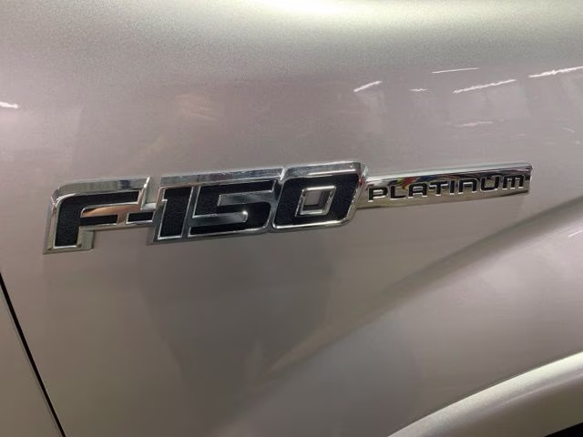 2013 Ingot Silver Ford F-150 Platinum 4X4 Truck