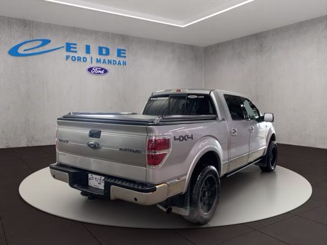 2013 Ingot Silver Ford F-150 Platinum 4X4 Truck