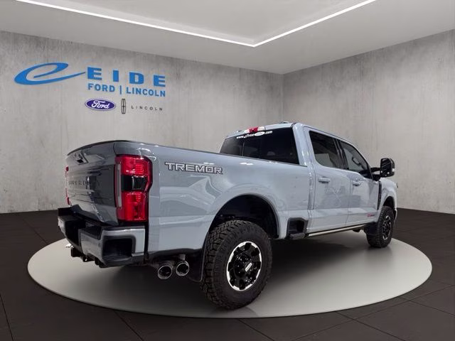 2025 Glacier Gray Met Tri-Coat Ford Super Duty F-250 SRW Platinum 4X4 Truck