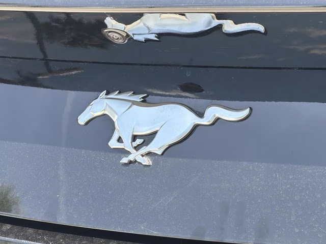 2024 Shadow Black Ford Mustang EcoBoost Premium RWD Convertible