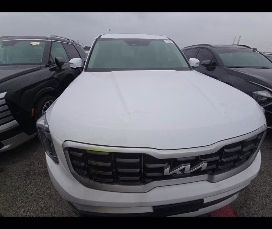 2024 Glacial White Pearl Kia Telluride SX AWD SUV