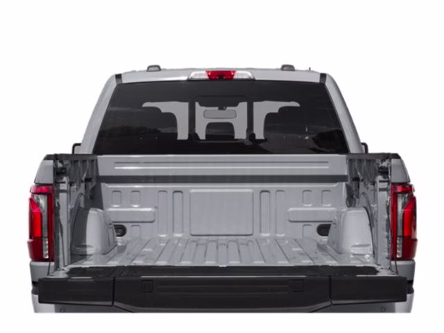 2024 Gray Metallic Ford F-150 Platinum 4X4 Truck