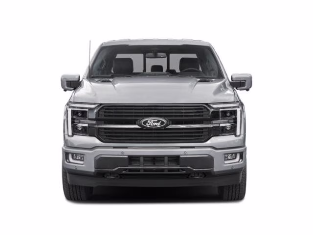2024 Gray Metallic Ford F-150 Platinum 4X4 Truck