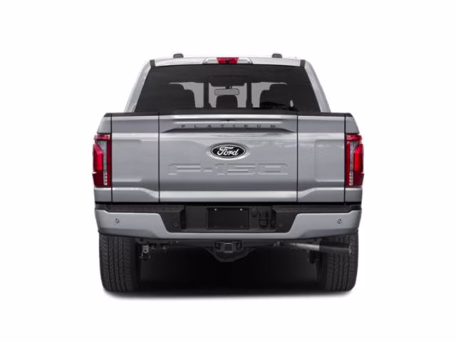 2024 Gray Metallic Ford F-150 Platinum 4X4 Truck