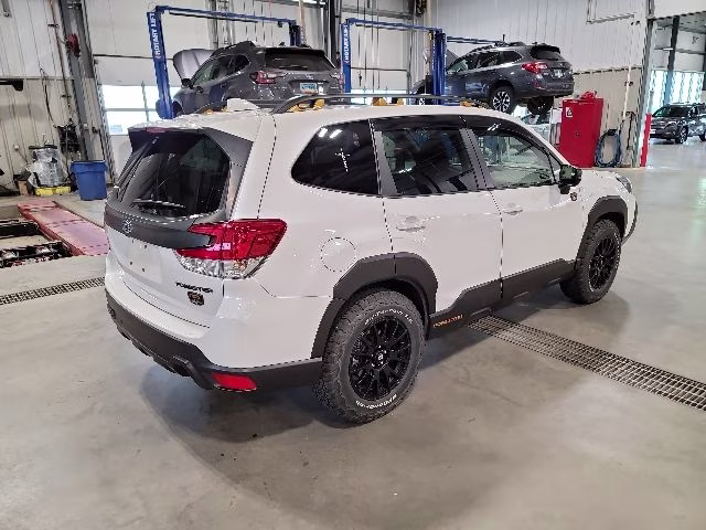 2023 Crystal White Pearl Subaru Forester Wilderness AWD SUV
