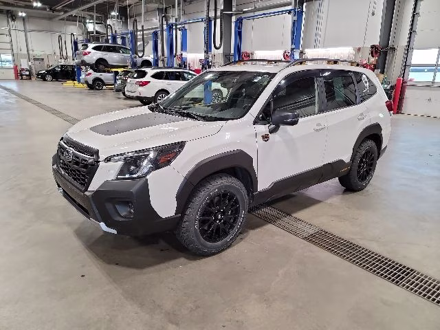2023 Crystal White Pearl Subaru Forester Wilderness AWD SUV