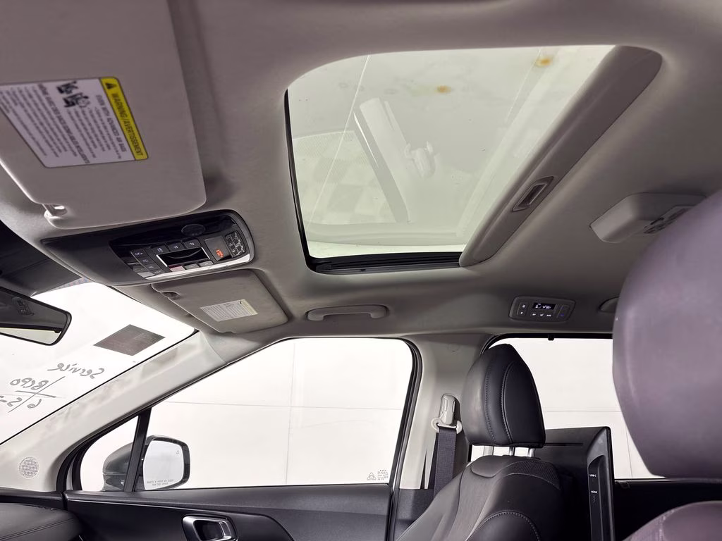2025 Snow White Pearl Kia Carnival SX FWD Van