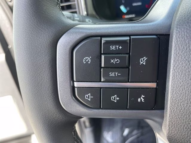 2026 Gray Ford Super Duty F-250 SRW 4X4 Truck