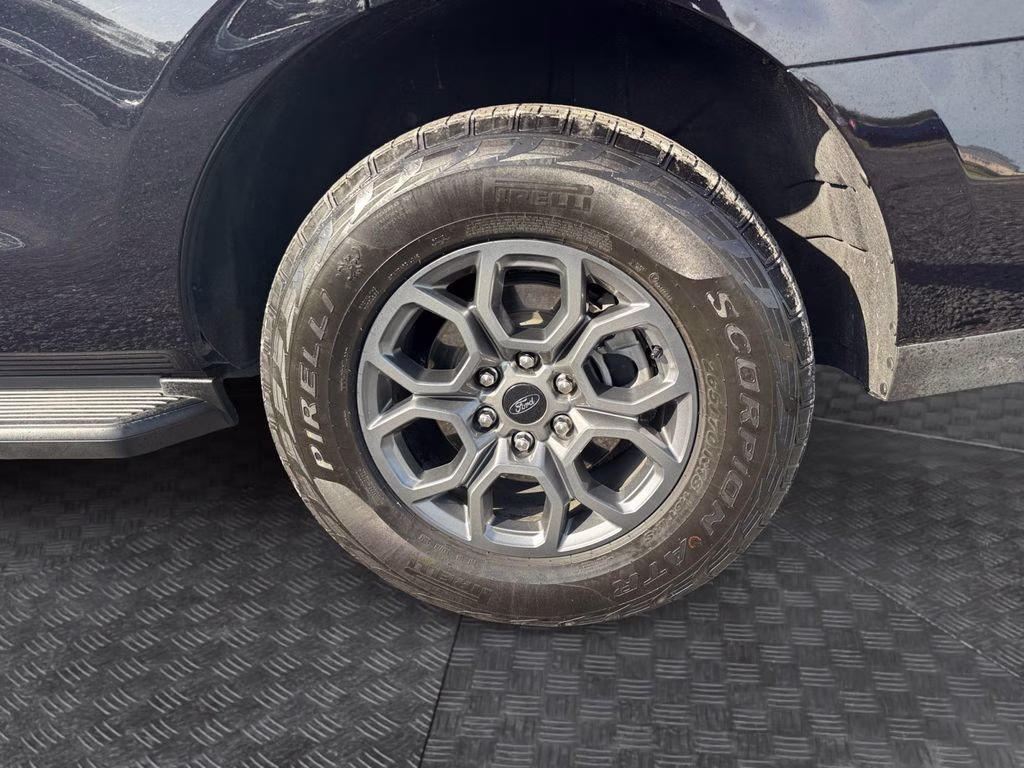 2025 Black Metallic Ford Expedition Active RWD SUV