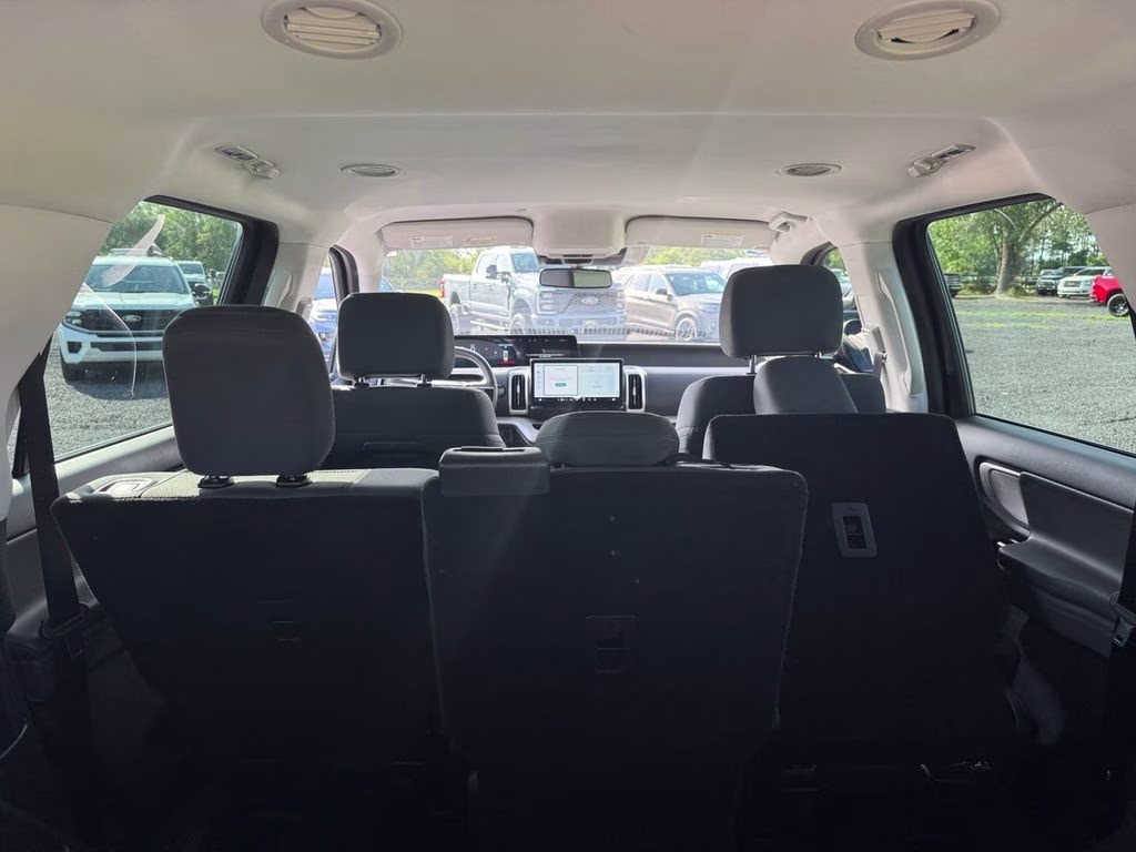 2025 Black Metallic Ford Expedition Active RWD SUV