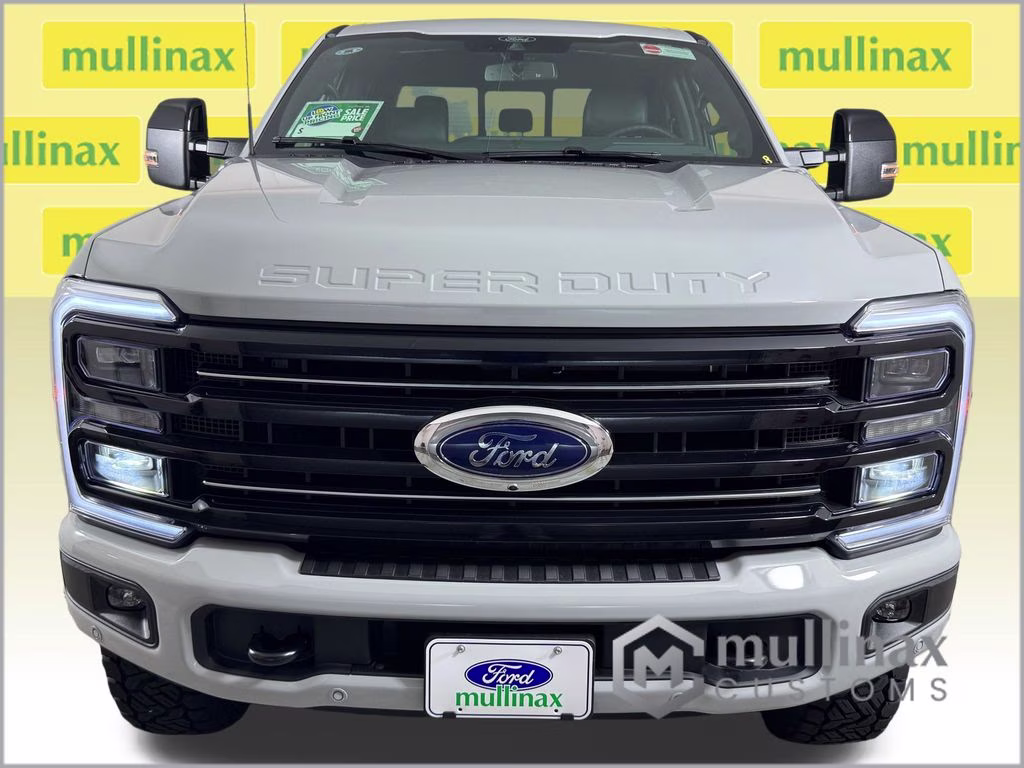 2026 Avalanche Ford Super Duty F-250 SRW Platinum 4X4 Truck