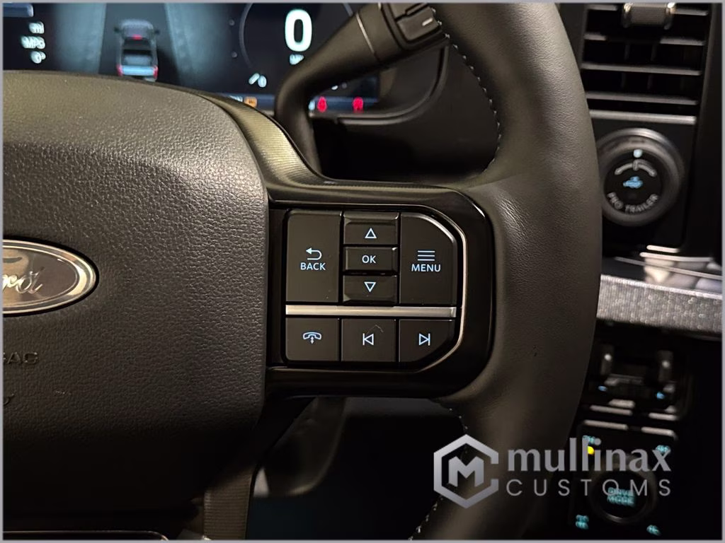 2026 Avalanche Ford Super Duty F-250 SRW Platinum 4X4 Truck