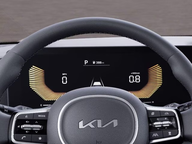 2026 Panthera Metal Kia Carnival LXS FWD Van