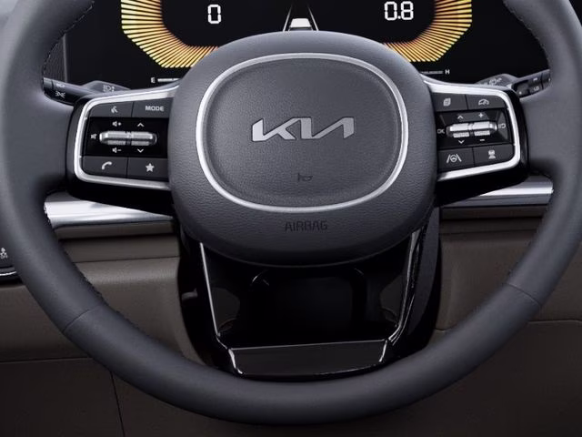2026 Panthera Metal Kia Carnival LXS FWD Van