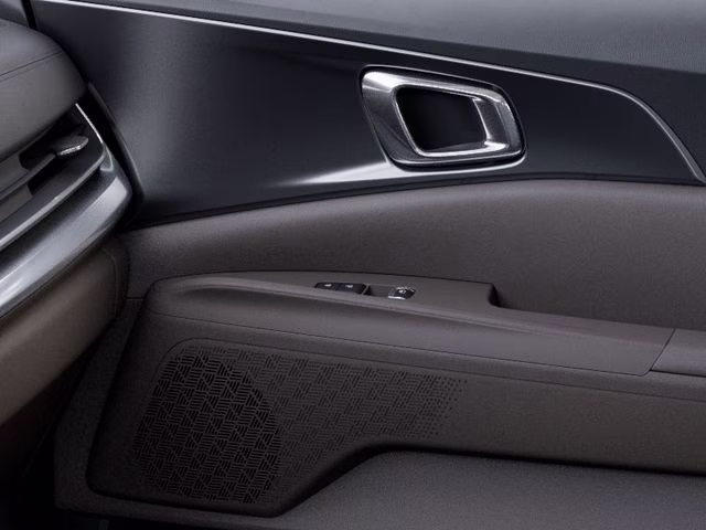 2026 Panthera Metal Kia Carnival LXS FWD Van