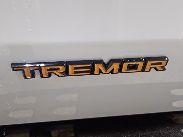 2026 Space Silver Metallic Ford Expedition Tremor 4X4 SUV