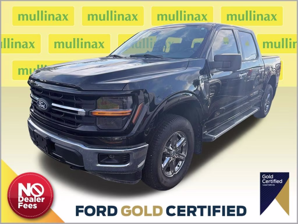 2024 Agate Black Metallic Ford F-150 XLT 4X4 Truck