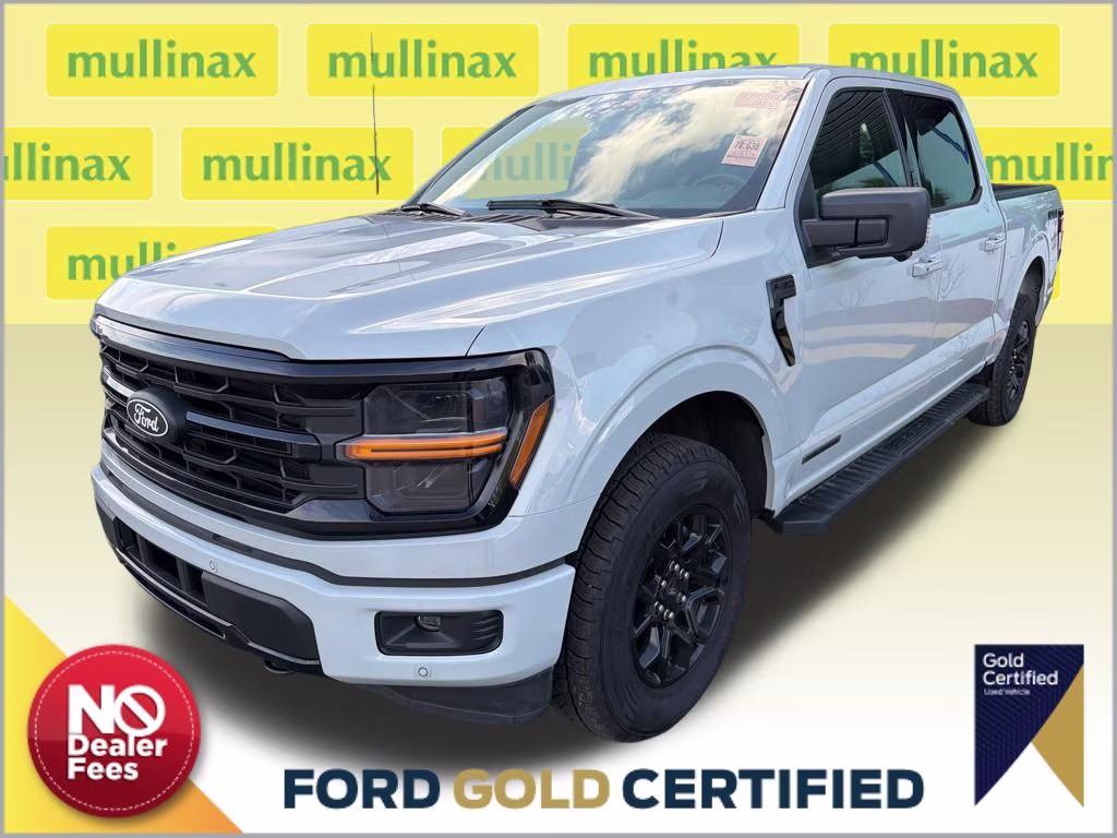2024 Avalanche Ford F-150 XLT 4X4 Truck