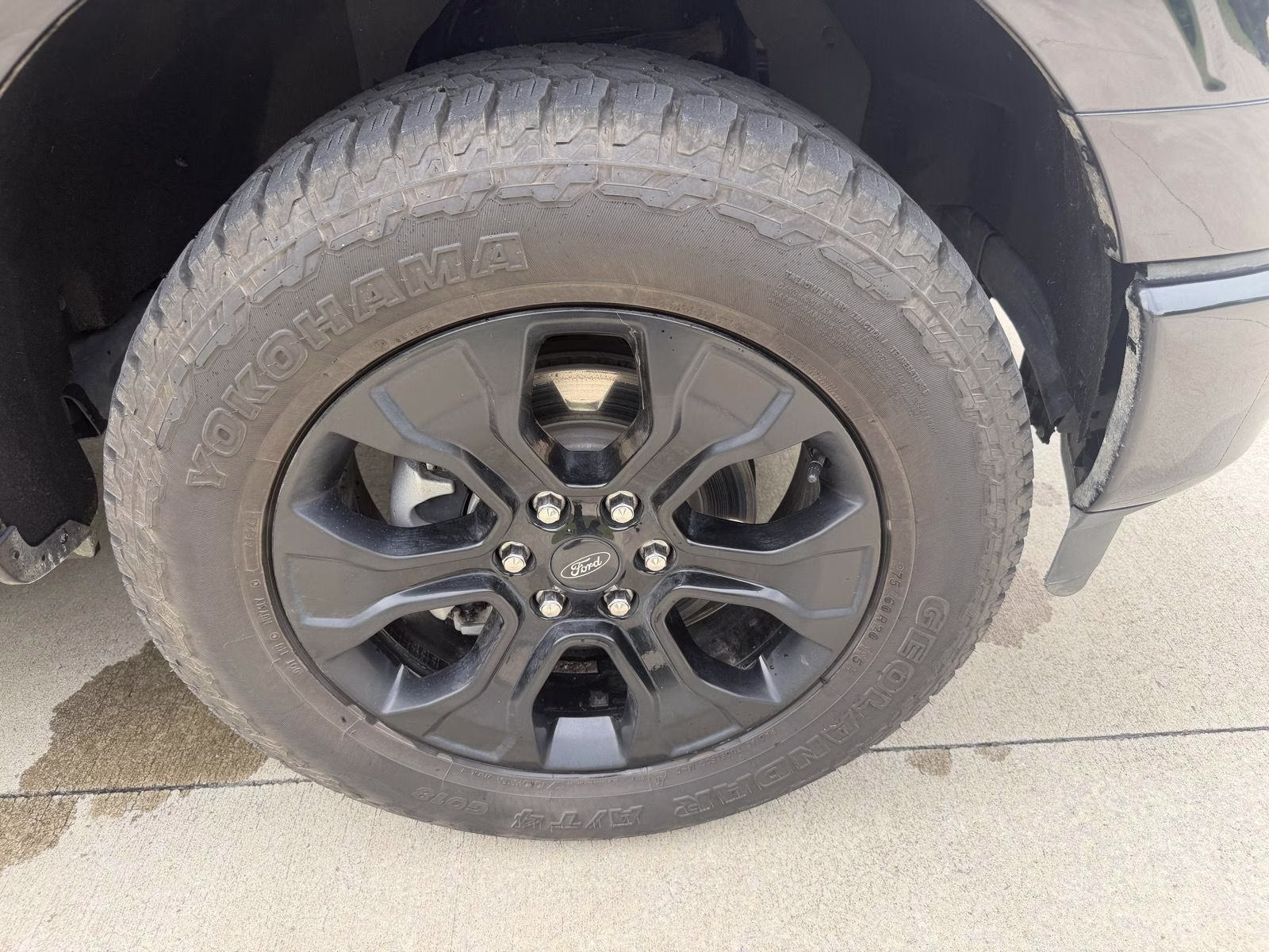 2023 Agate Black Ford F-150 XLT 4X4 Truck