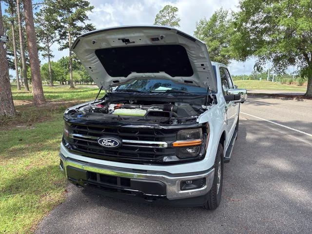 2025 White Metallic Ford F-150 XLT 4X4 Truck