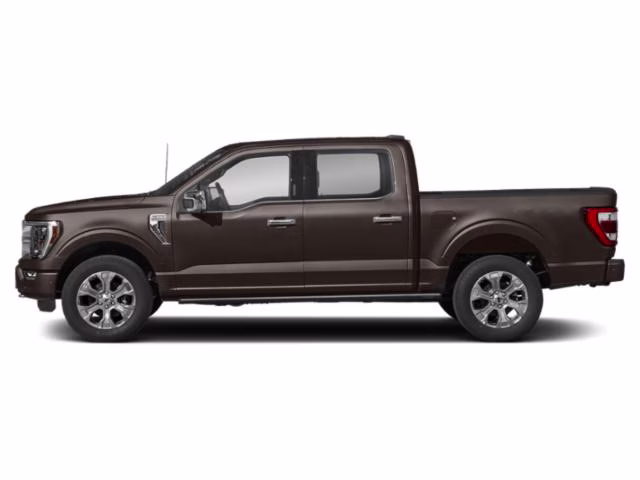 2021 Brown Ford F-150 Platinum 4X4 Truck