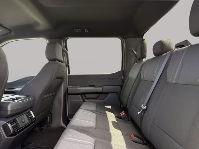 2025 Avalanche Ford F-150 STX RWD Truck