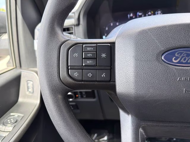 2025 Avalanche Ford F-150 STX RWD Truck
