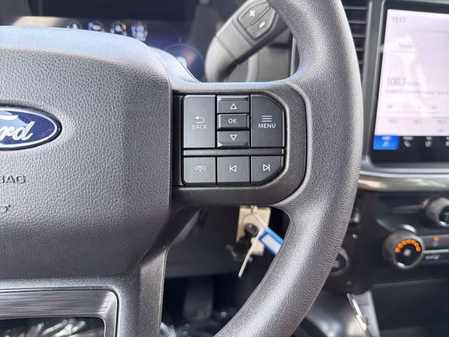 2025 Avalanche Ford F-150 STX RWD Truck