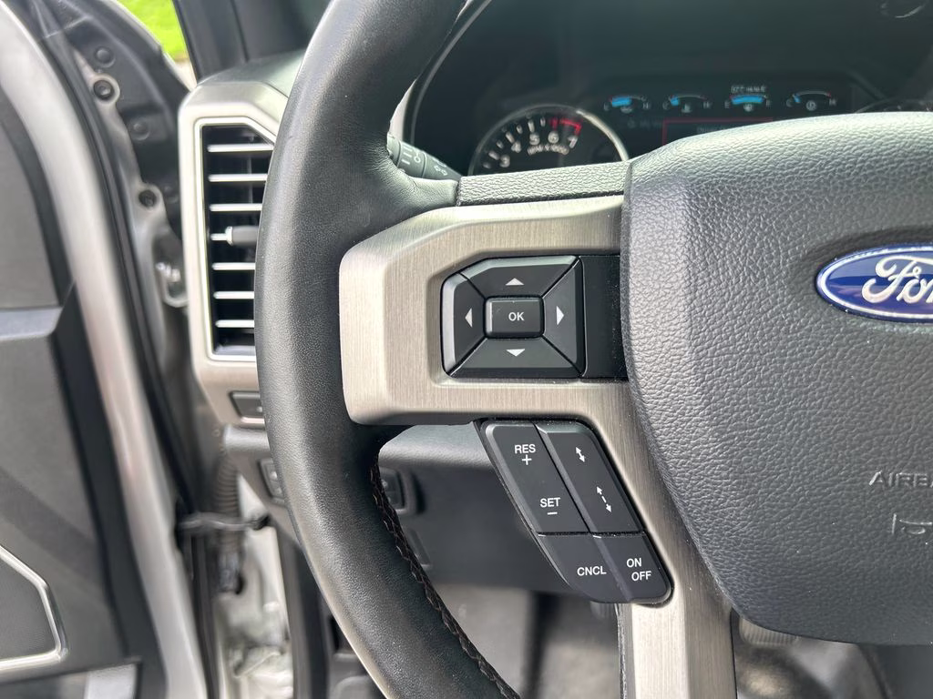 2019 Ingot Silver Ford F-150 Platinum 4X4 Truck