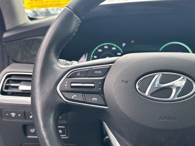 2022 Rainforest Hyundai Palisade Limited AWD SUV