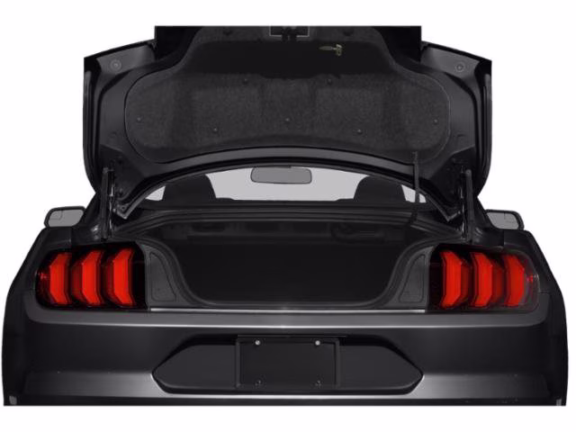 2019 Magnetic Ford Mustang EcoBoost RWD Coupe