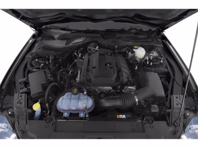2019 Magnetic Ford Mustang EcoBoost RWD Coupe