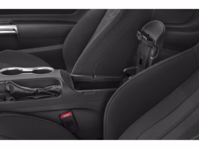 2019 Magnetic Ford Mustang EcoBoost RWD Coupe
