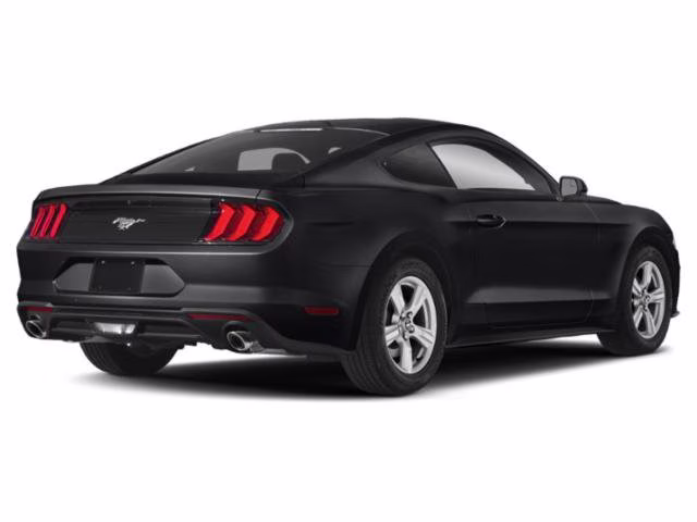 2019 Magnetic Ford Mustang EcoBoost RWD Coupe