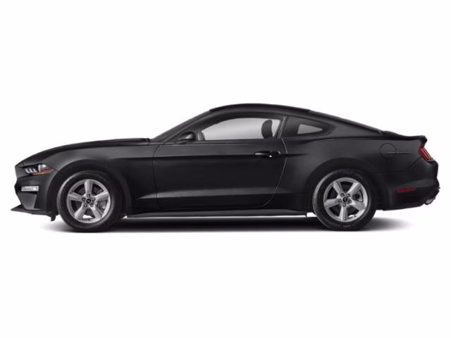 2019 Magnetic Ford Mustang EcoBoost RWD Coupe