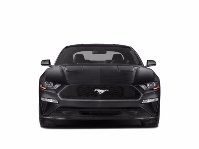 2019 Magnetic Ford Mustang EcoBoost RWD Coupe