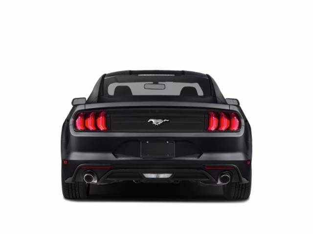2019 Magnetic Ford Mustang EcoBoost RWD Coupe