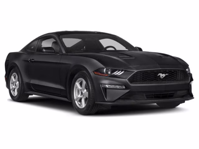 2019 Magnetic Ford Mustang EcoBoost RWD Coupe