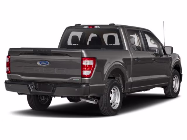 2023 Carbonized Gray Metallic Ford F-150 XL RWD Truck