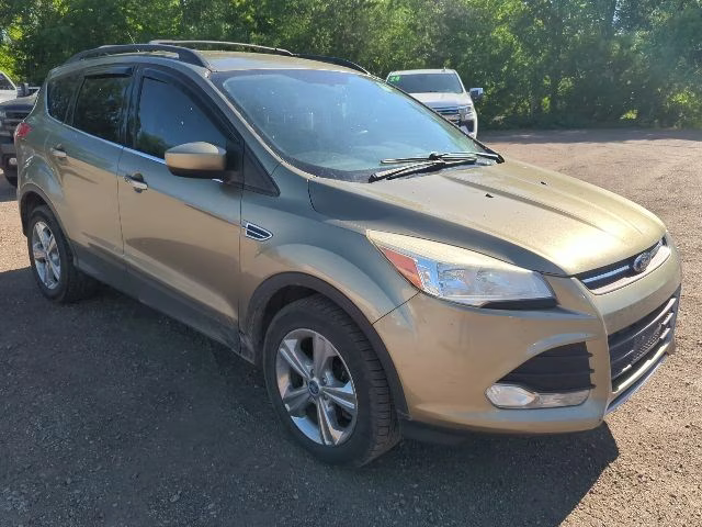 2013 Ginger Ale Metallic Ford Escape SE 4X4 SUV