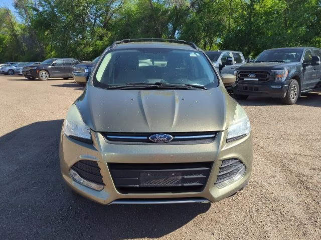 2013 Ginger Ale Metallic Ford Escape SE 4X4 SUV