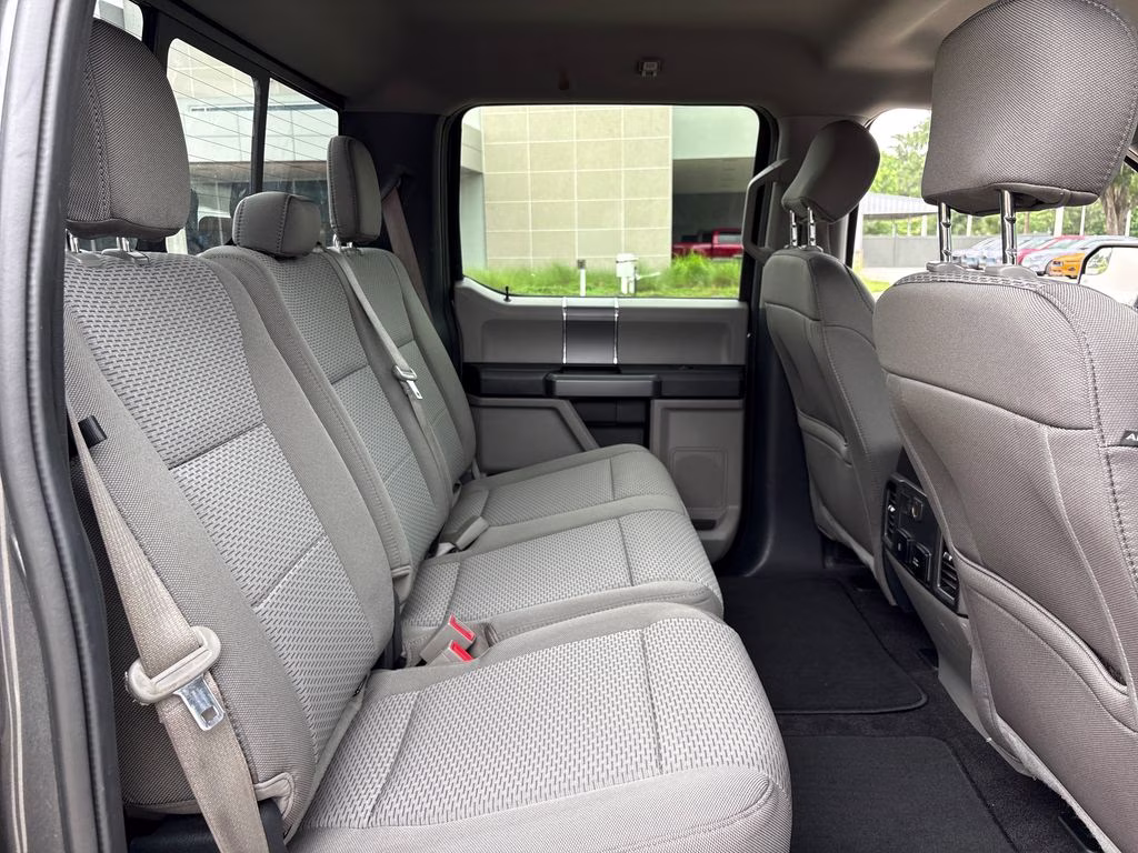 2020 Magnetic Ford F-150 XLT 4X4 Truck