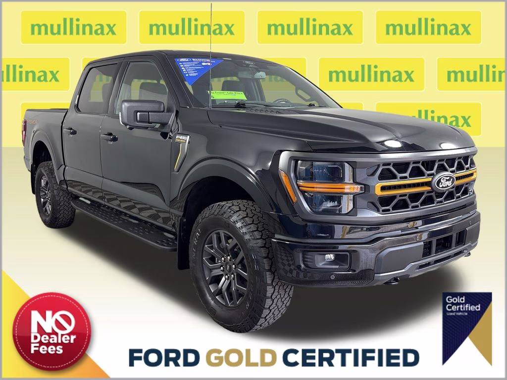 2024 Agate Black Metallic Ford F-150 Tremor 4X4 Truck