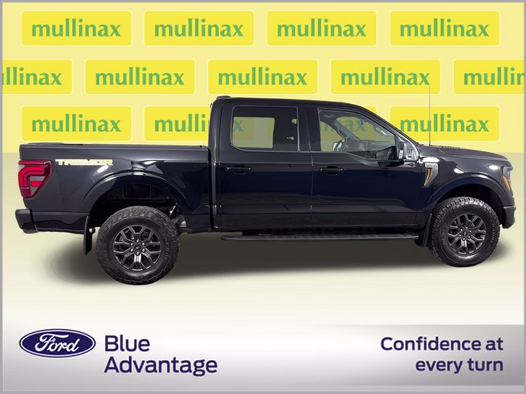 2024 Agate Black Metallic Ford F-150 Tremor 4X4 Truck