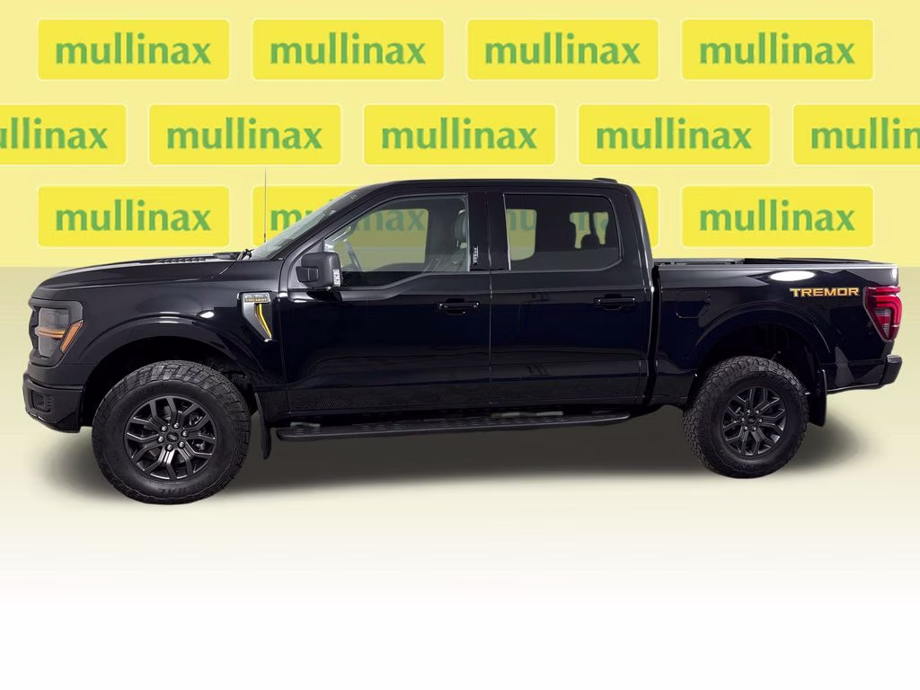 2024 Agate Black Metallic Ford F-150 Tremor 4X4 Truck