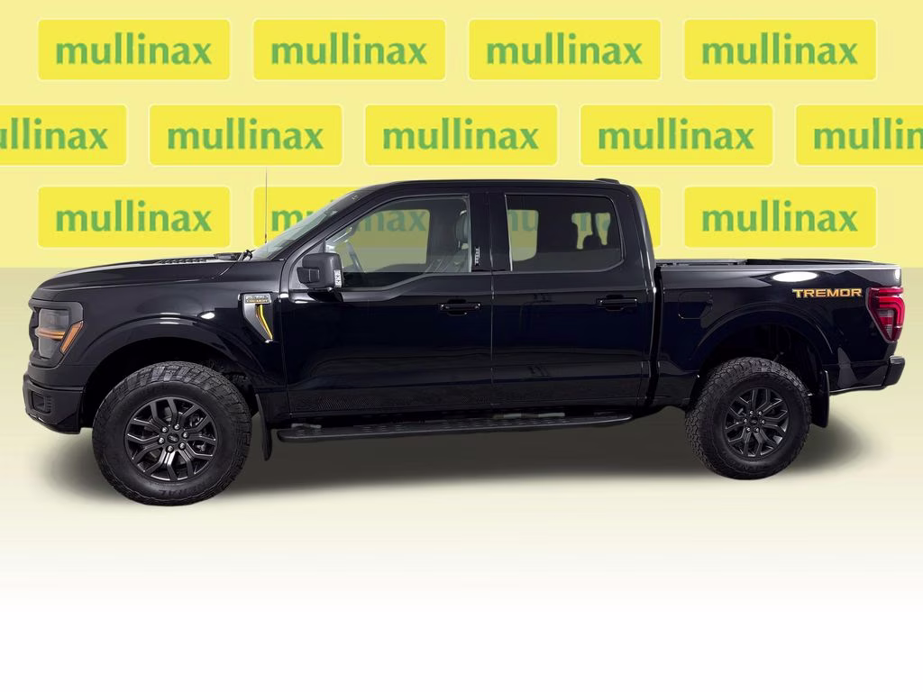 2024 Agate Black Metallic Ford F-150 Tremor 4X4 Truck